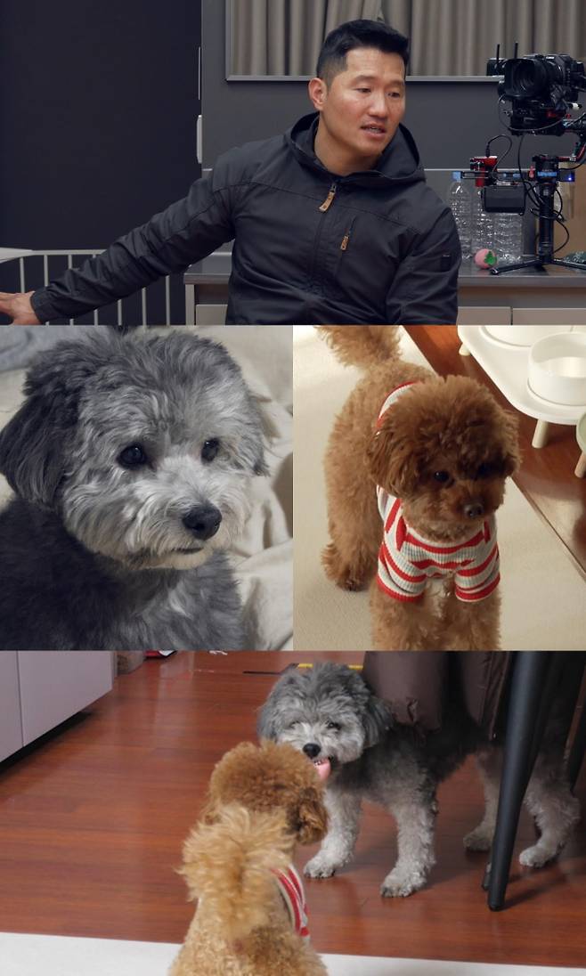 ‘개늑시2’ 동탄 사탄견 실체 (제공: 채널A)