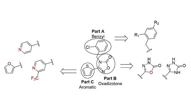 새로운 드라베 증후군 후보물질의 설계도.[GIST 제공]