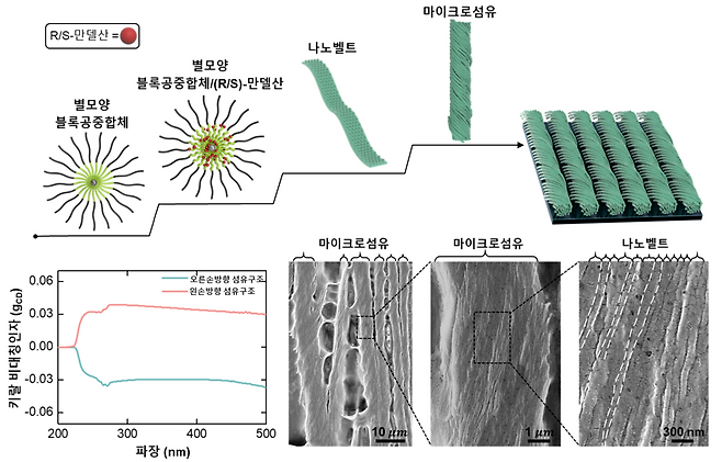 별모양 블록공중합체 기반 안정적 키랄 광학 성능 구현한 공동조립 플랫폼.[과기정통부 제공]