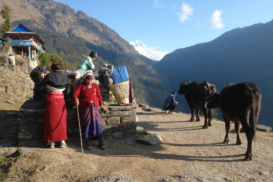 마을을 지나며 고갯마루에서 잠시 쉬고 있는 도우미들입니다. 트레커들의 무거운 짐을 대신 옮겨주는 이들은 남자들이 많지만, 여성들도 꽤 활동하지요.