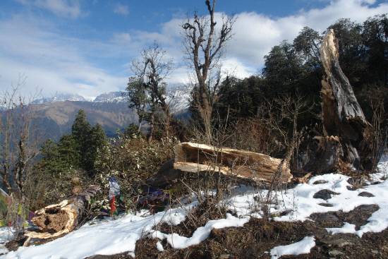 봄이라 할지라도 음지에서는 눈길을 쉽게 만날 수 있습니다. 이 지역은 노거수와 함께 사람의 손길이 닿지 않은 듯한 천연림이 무성하네요. 히말라야에는 이렇게 오래된 수목들과 울창한 숲이 흔하지 않습니다. 대부분 척박하고 경사가 급하며, 특히 산악지대 주민들의 땔감으로 이용되기 때문이지요. 산이 푸르게 살아나기 위해서는 무엇보다 태양광이나 수력 발전 등 에너지 공급이 절실합니다.