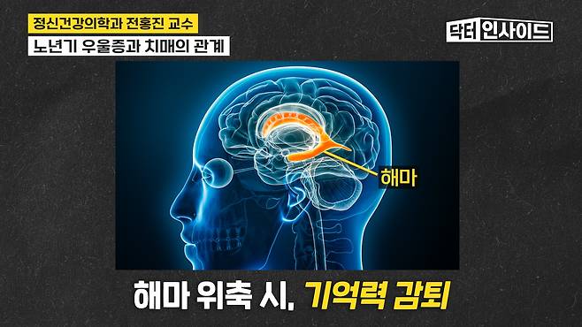/조선일보 의학·건강 유튜브 '닥터인사이드'