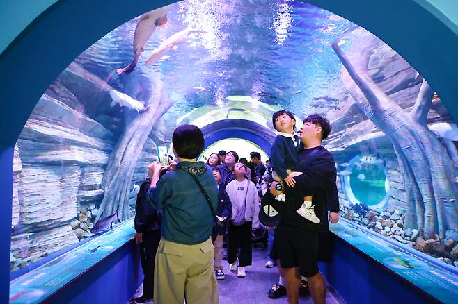 사진=충주시 제공