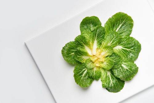 ⓒ게티이미지뱅크