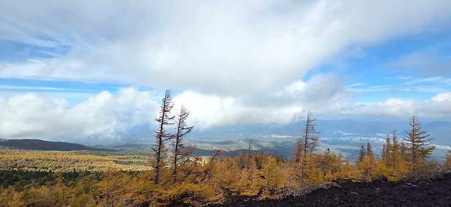 황금빛 단풍으로 물든 후지산 오츄도에서 바라본 장쾌한 풍광이 펼쳐진다. 출처: 비타투어 제공