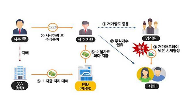 지배주주 사익편취 사례 [국세청 제공]