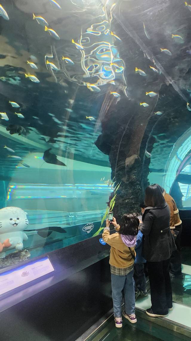 국립해양박물관. 김진성 기자