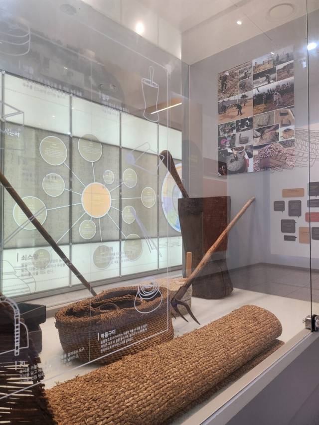 콩세계과학관. 김진성 기자