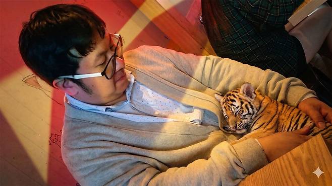 기자가 품에 안은 고양이를 호랑이로 바꿔달라 명령하니 자연스러운 결과물을 만들었다 / 출처=제미나이 생성 이미지