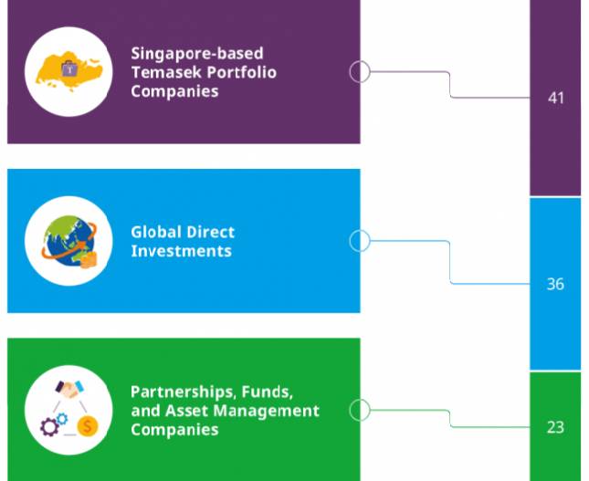 싱가포르 테마섹 홀딩스가 투자한 기업 41%가 싱가포르에 본사를 두고 있다. 테마섹은 싱가포르 재무부가 100% 지분을 보유한 글로벌 투자지주회사다. 테마섹은 자바어 또는 말레이어로 싱가포르를 가리키는 고대 명칭이다. '바닷가 마을' 또는 '호수 주변 마을'을 뜻한다. / 사진=테마섹(Temasek)