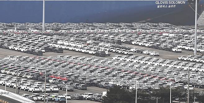 경기 평택시 평택항 자동차 전용 부두에 수출용 차량이 세워져 있는 모습. [사진=뉴시스]