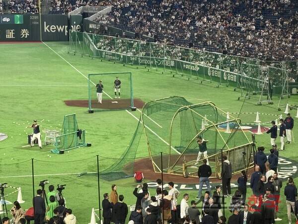 타격 훈련을 소화중인 대표팀 선수들. ⓒ스포츠한국 심규현 기자