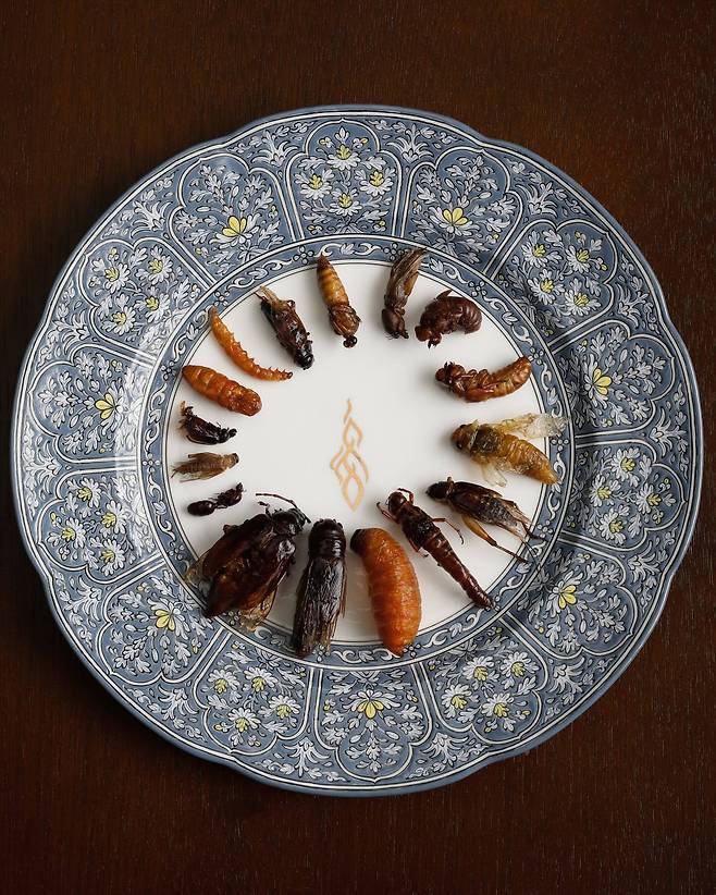 태국 미슐랭 레스토랑 아키에서 판매하는 곤충 요리. 2만 곤충 사육 농가를 보유한 태국은 세계 최대 식용 곤충 생산국이자 수출국이다. 출처 아키 홈페이지