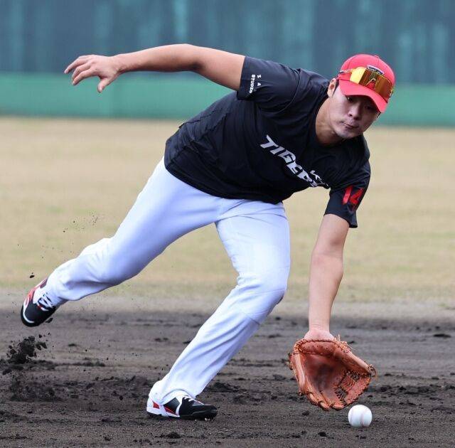 김규성/KIA 타이거즈