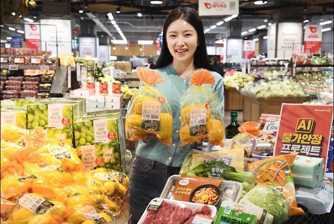 대형마트 휴무일, 이마트·롯데마트·홈플러스·코스트코 ‘문 여는 곳?’=이마트·롯데마트·홈플러스·코스트코 등 대형마트가 봄철을 맞아 제철 먹거리와 생필품 중심으로 할인 폭을 확대함으로써 고물가와 경기 침체로 부담이 커진 소비자들을 끌어들이겠다는 의도다. ©사진=홈플러스: 대형마트 휴무일? 이마트·롯데마트·홈플러스·코스트코 등 마트 휴무일, 쉬는날