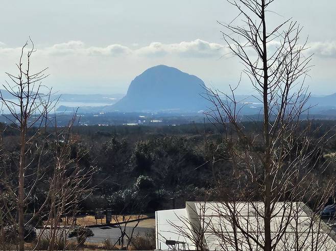 본태박물관 본스타에서 조망한 산방산 일대 풍경. 사진 본태박물관