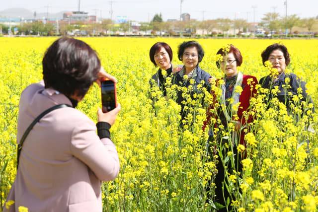 경남 고성 안뜰 경관농업단지 / 사진 = 고성군