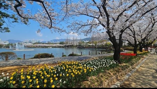 경남 김해 연지공원 / 사진 = 김해시