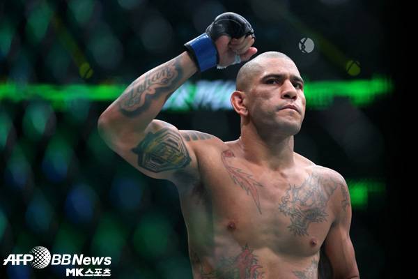 알렉스 페레이라는 헤비급 타이틀에 도전한다. 사진=ⓒAFPBBNews = News1