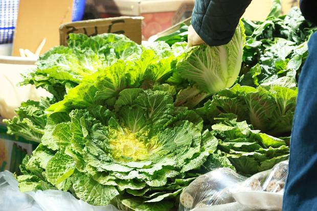 ‘두바이 쫀득 쿠키’(두쫀쿠)에 이어 ‘봄동 비빔밥’이 인기를 끌면서 봄 제철 채소인 봄동 가격이 한 달 새 30% 가까이 오른 것으로 나타났다. 연합뉴스