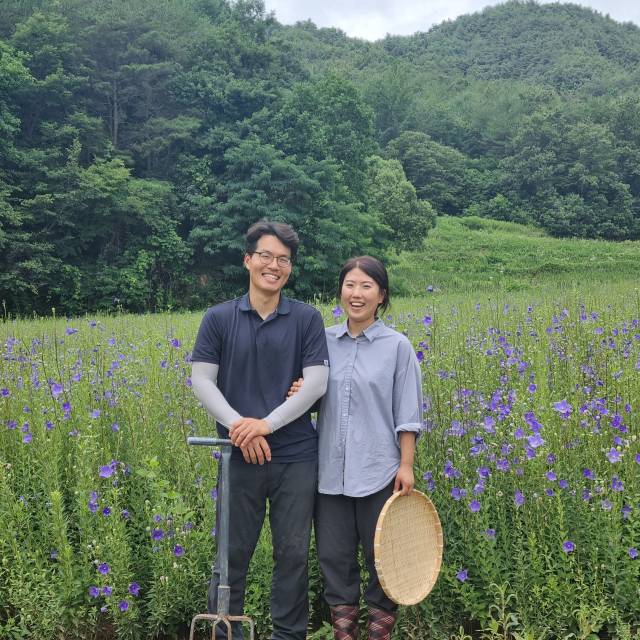 김태준 씨와 아내 박승희 씨가 도라지밭에서 팔짱을 끼고 서 있다. 둘은 2014년 결혼해 그해 고향 영주로 내려왔다.