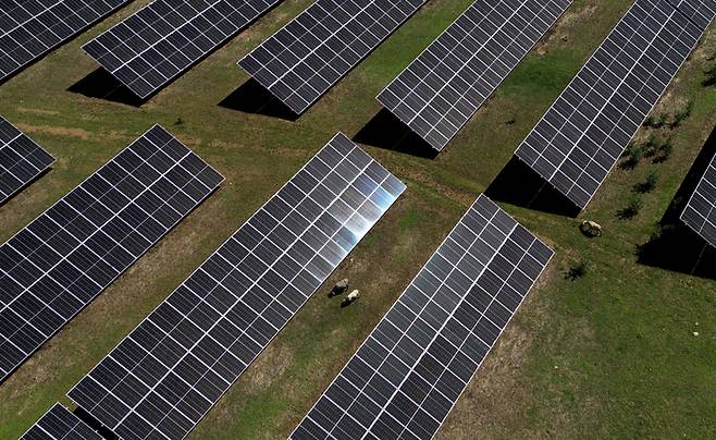 ▲태양광 발전단지(사진=로이터/연합)