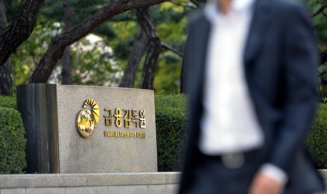 금융감독원이 올해 은행권 금융소비자 보호와 지배구조 운영 실태를 집중 점검한다고 밝혔다. /금융감독원