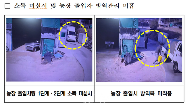 발생농장 방역 미흡사항 유형별 관련 모습. ⓒ농림축산식품부