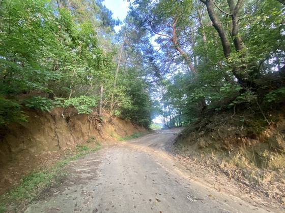 단종(1441~1457)이 강원도 영월군 청령포로 유배 가면서 넘은 고개가 있다. 훗날 사람들은 이 고개를 임금이 넘어갔다 하여 행치고 불렀는데, 그와 같은 이름을 가진 고개는 여럿이다. 사진은 경기도 여주시 대신면 옥촌3리에서 장풍리로 넘아가는 고개로, 단종 유배길의 첫 번째 '행치'가 된다. 김홍준 기자