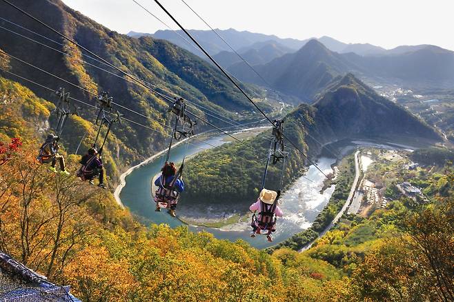 정선 병방치 초고속 짚와이어