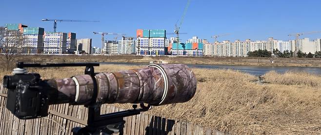 남대천 탐조대 앞의 아파트 공사 현장 [촬영 유형재]