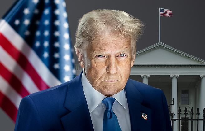 그래픽=박혜수 기자