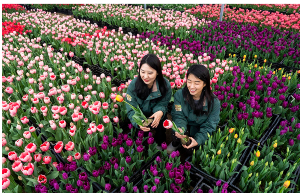 사진=에버랜드 제공