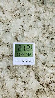 약 20℃를 오르내리는 지구온난화 현상.