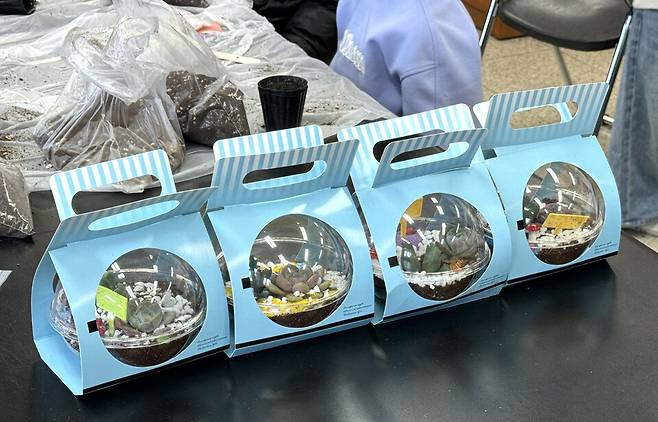 ▲&nbsp;금곡초등학교 '겨울방학 원예교실' 활동 모습. /사진제공=금곡초등학교&nbsp;