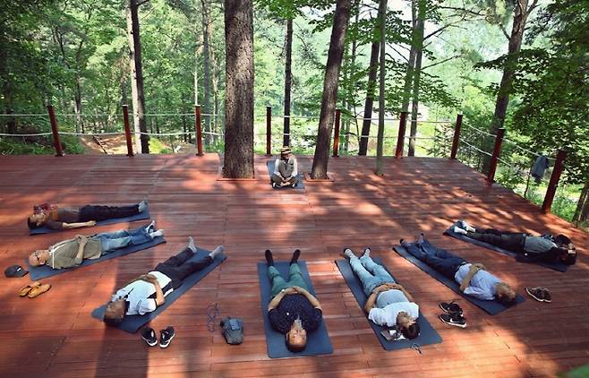 광양 백운산 치유의 숲에서 숲속 명상 프로그램이 진행되고 있다./광양시 제공