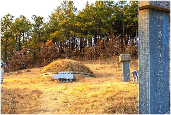 군위군에 있는 충의공 엄흥도 묘역 전경(우측은 묘비). /대구 군위군 블러그