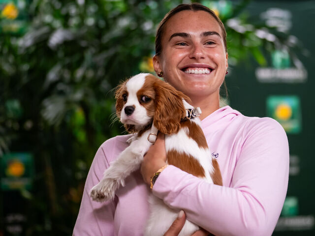 아리나 사발렌카가 공개한 반려견 애시. 인스타그램