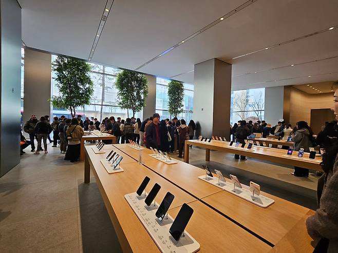 애플은 11일 아이폰17e을 포함해 맥북 네오, 맥북 프로, 맥북 에어, 아이패드 에어 등을 공식 출시했다. 이날 서울 중구 애플 명동 매장에서 고객들이 제품을 살펴보고 있다./안상희 기자