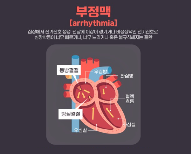 /사진=게티이미지뱅크