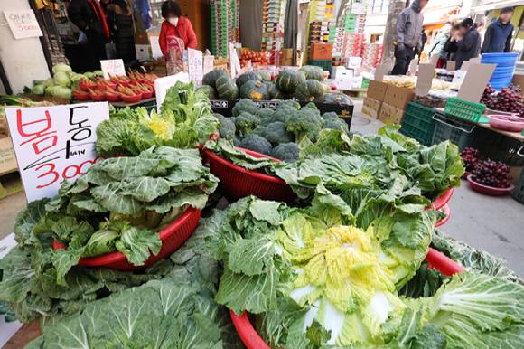 서울 한 시장에 진열된 봄동. [사진=연합뉴스]