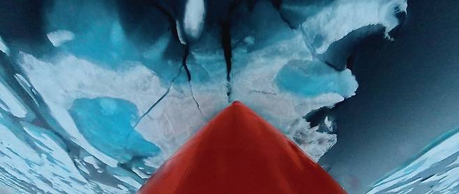 강현선 개인전 ‘Second Nature’. 노블레스컬렉션