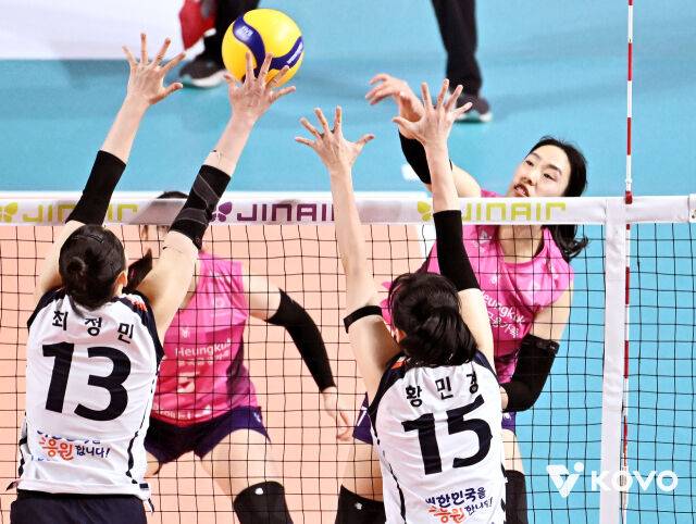 흥국생명 최은지./KOVO