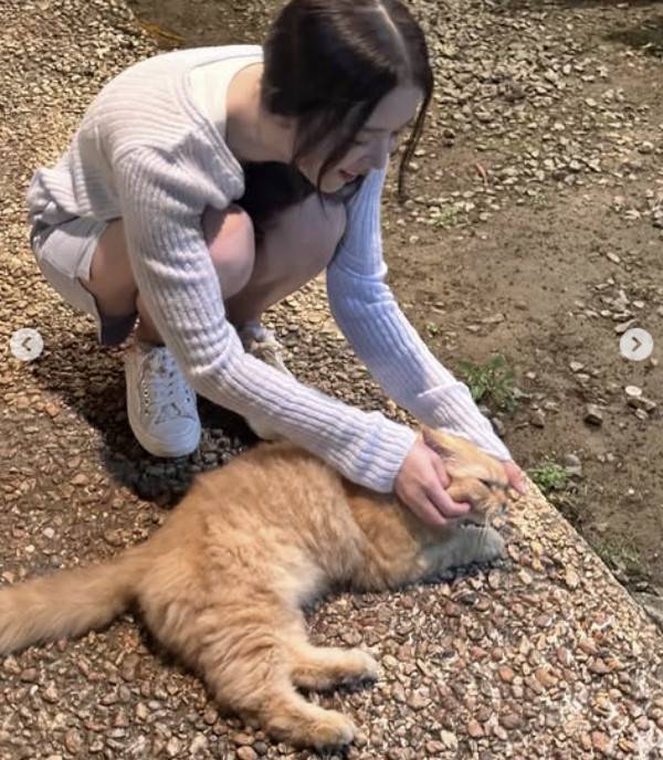 지수 소셜 계정 캡처