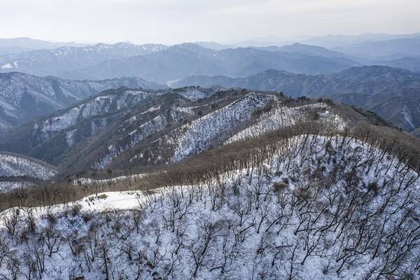 통고산 정상. 정상석 앞에 헬기장이 널찍하다.