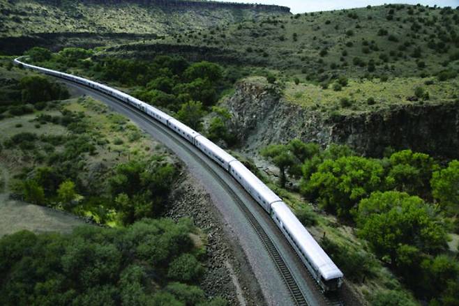 전수천의 움직이는 선 드로잉(2005).