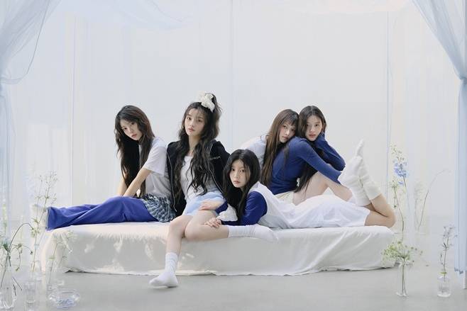 티브이데일리 포토