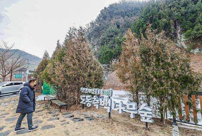 측백나무 숲 입구[사진/임헌정 기자]