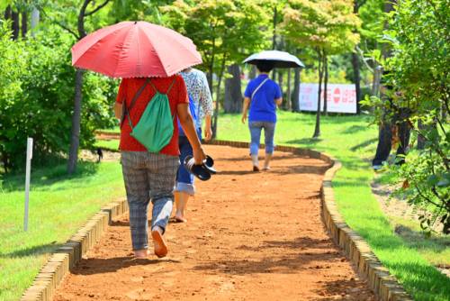 ◇청초호 맨발걷기길.