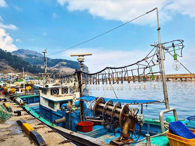 경북 울릉군 울릉읍 저동항에 묶여있는 오징어잡이 배. 홍준기 기자